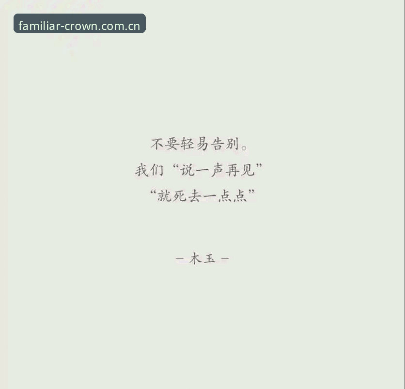 别再被“官网首页只是个入口”这种话骗了。真正研究过赛事数据的人都知道，首页的信息架构和刷新逻辑，直接决定了你看到的是“二手滞销货”还是一手新鲜滚烫的实时战报。拿皇冠现金官网网站官方主页赛事数据来说，我盯了它2025新版整整两个月，结论很简单：你要是还把打开首页当成“跳转中转站”，那你丢掉的数据差，可能比某些盘口的抽水还狠。
